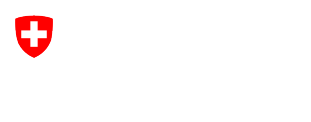 EU Flag